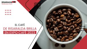 Lee más sobre el artículo El Café de Risaralda Brilla en Expo Café 2023