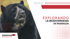 Lee más sobre el artículo Explorando la Biodiversidad de Risaralda