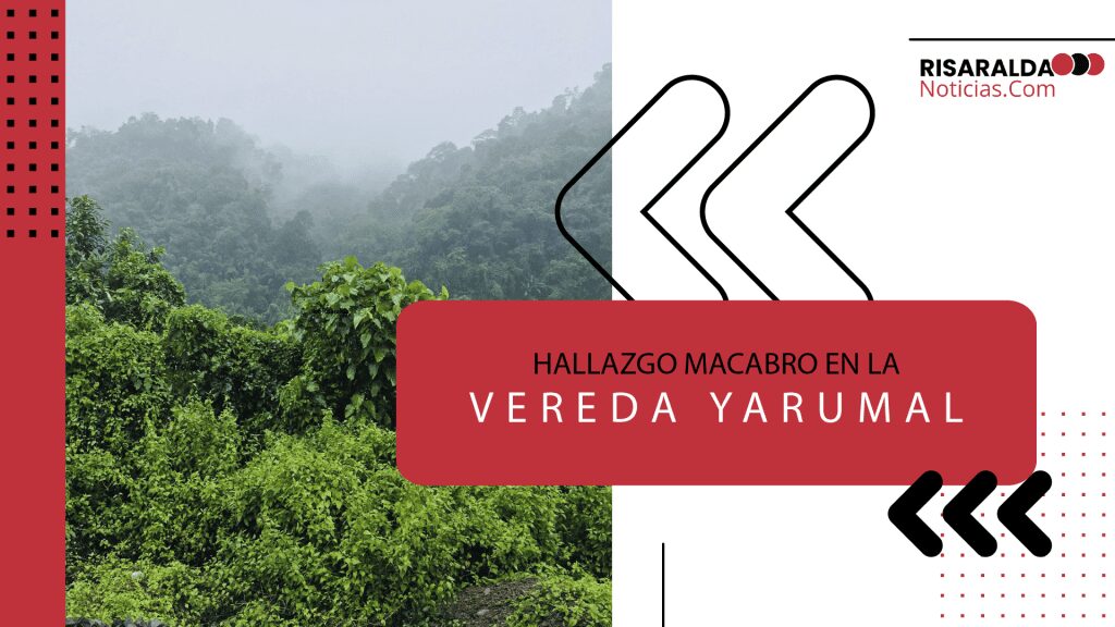 Lee más sobre el artículo Hallazgo Macabro en la Vereda Yarumal