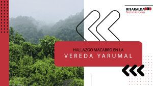 Lee más sobre el artículo Hallazgo Macabro en la Vereda Yarumal