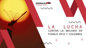 Lee más sobre el artículo La Lucha Contra la Malaria en Pueblo Rico y Colombia