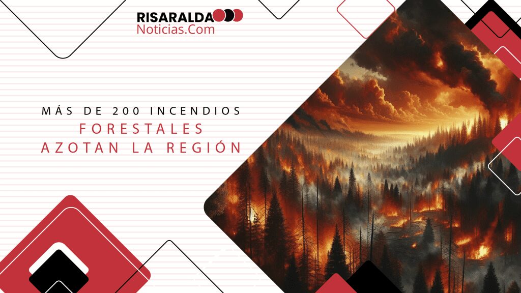 Lee más sobre el artículo Más de 200 incendios forestales azotan la región