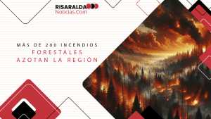 Lee más sobre el artículo Más de 200 incendios forestales azotan la región